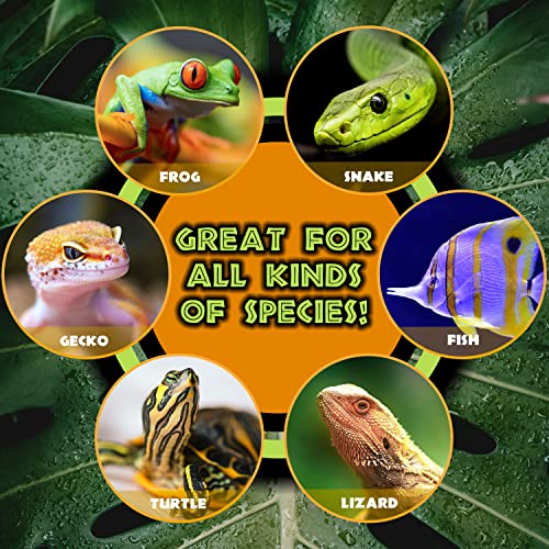 Reptile Hide & Cave Hideout Rainforest Series - Reptile Ledge Hide, Basking Rock, Terrarium & Aquarium Decor, Decorative Resin for Lizards, Fish, Snakes, Amphibians, Small Animals