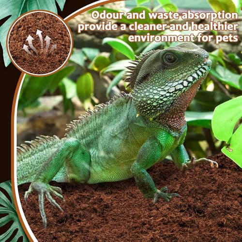 Riare 8 Pack Natural Coconut Fiber Substrate for Reptile- Premium Compressed Coconut Husk Terrarium Bedding for Reptile, Tortoise, Frogs, Snakes Hermit Crabs, Burrowing Animals - color: 8 pack