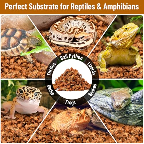 Riare 8 Pack Natural Coconut Chip Substrate for Reptiles- Compressed Coconut Husk Reptiles Bedding, Coco Husk Chip Terrarium Substrate for Snakes, Tortoises, Ball Python, Frogs, Bearded Dragon, Lizard - color: 8 pack