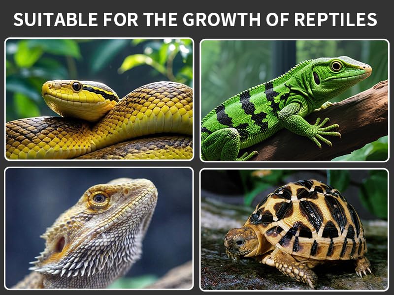 UVB Reptile Light, Dimmable UVA UVB Lamp with Timer & 3 Modes, Adjustable 5.0-20.0 Output, 6500K Daylight LED Reptile Tank Light for Bearded Dragon, Snake, Turtle, 10-40 Gallon (8 INCH) - size: 8 INCH