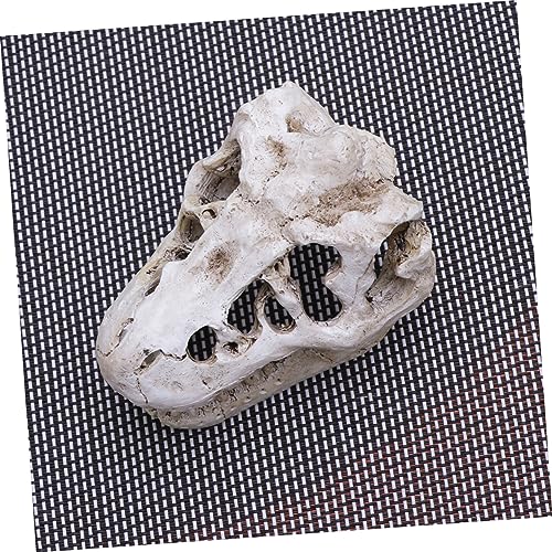 Resin Reptile Pet Skull Hide Skull for Reptile Tank Accessories Fish Tank Decor