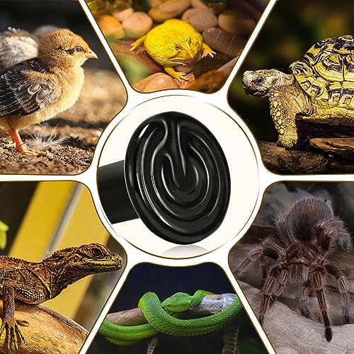 Ceramic Heat Emitter - 100W Reptile Heat Lamp, No Light Emitted Bulb, Reliable and Safe Heat Bulb for Reptile & Amphibian
