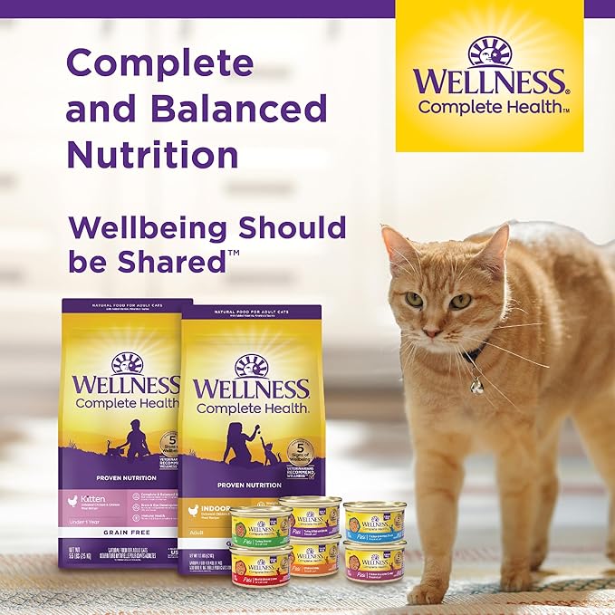 Wellness Complete Health Pate Adult Wet Cat Food, Natural, Protein-Rich, Grain Free, 5.5 Ounce, 24 Pack, (Chicken)