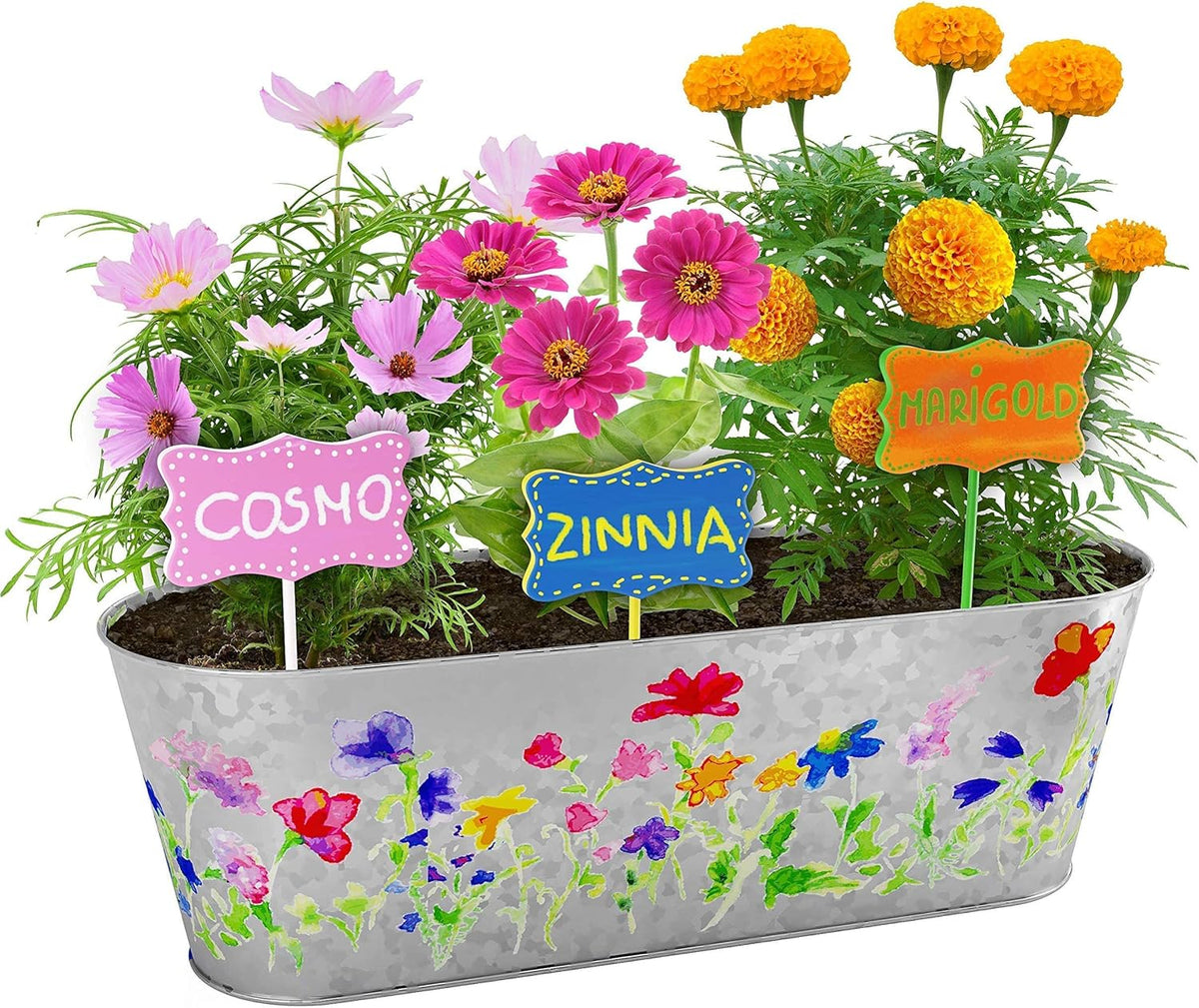 Dan&Darci Paint & Plant Flower Growing Kit for Kids - Perfect for Ages 5-12, a Fun and Educational Gift