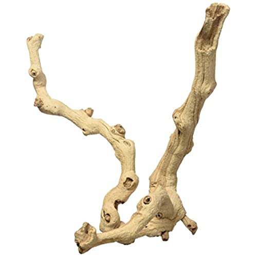 Zoo Med Sandblasted Grapevine, Medium, 12-Inch