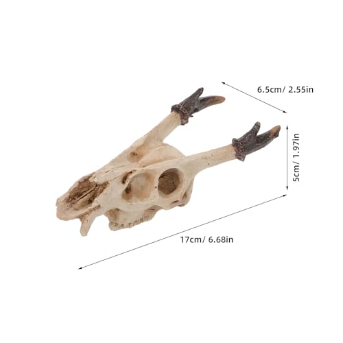SHOWERORO Reptile Skull Hideout Resin Cave Medium Size Natural Terrarium Decoration for Lizard Snake Turtle Enclosure Accessories