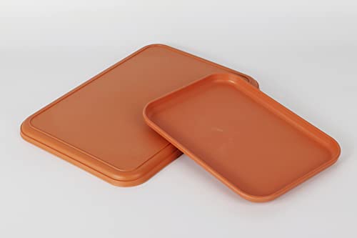 Reptile Large Water Dish, Tortoises Food Bowl - M (11.8 * 8.6 * 0.6) - size: M