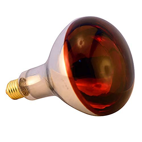 Heat Lamp Bulb R115 250 Watt 2 Pack Infrared Glass Lamp Bulb for Food Service, Brooder Bulb, Chicks, Pet, Bathroom, Light Therapy, Reptiles and Amphibian Use E26 Base - style: R115/250W