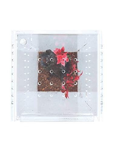 Herpcult Magnetic Acrylic Mini-Tall Enclosure 3 x 3 x 6