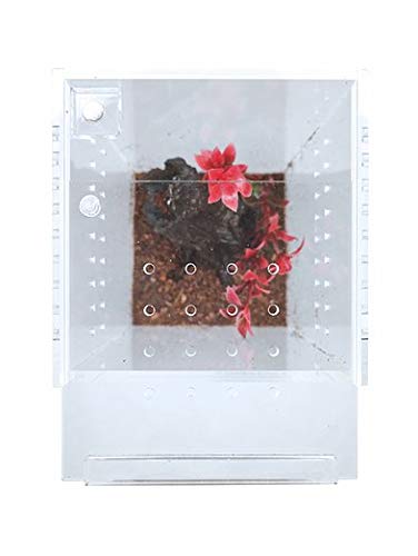 Herpcult Magnetic Acrylic Mini-Tall Enclosure 3 x 3 x 6