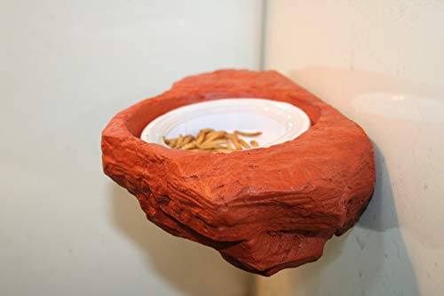 Small Worm Feeder Ledge Mojave Red - Magnetic Decor