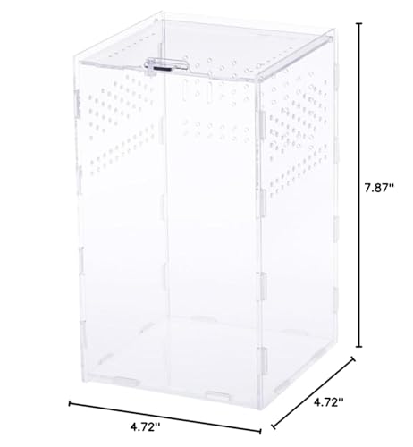 ORFOFE 1set Clear Terrariums for Reptiles High-Transparency Habitat Breeder Boxes Practical Display Cases for Pets Like Geckos and Snakes