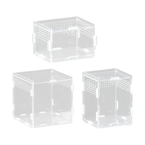 Clear Acrylic Reptiles Tanks with Ventilation Holes Terrarium Box for Small Lizards and Snake Jumping Spiders Watching Reptiles Container Box - size: 8X7X10 vertical