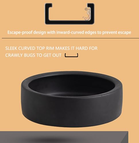 2 Pack Black Ceramic Reptile Food and Water Dish Anti Escape Bowl for Bearded Dragons Lizards Geckos and Leopards (Medium) - size: Medium
