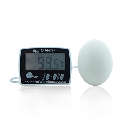 Egg-O-Meter™ - Large Digital Display Egg Thermometer with Min/Max Memory