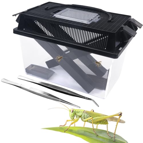 1 Pack Cricket Keeper Insect Keeper with 2 Pcs Dispenser Tubes and 2 Pcs Insect Stainless Steel Tweezers for Reptile Bearded Dragon Leopard Gecko Lizard Frog (Large)