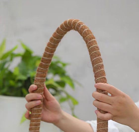 Natural Reptile Vines for Climbing, Jungle Vine for Terrarium Tanks, Reptile Branches for Chameleon, Gecko, Snake, Lizard - color: Brown