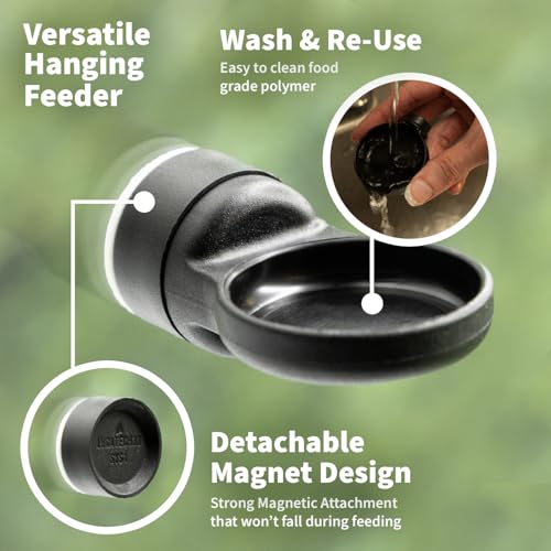 Pangea Microdish Kit for Micro Gecko Feeding, Mini Water Bowl for Tiny Reptiles and Other Small Pets, Magnetic Attachment Dots Included 1.5in x .75in (S Surface Mount) - size: S Surface Mount