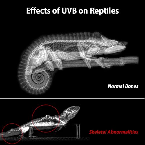 REPTITRIP 39-Inch LED UVB Reptile Light with Auto On/Off & Preset Day-Night Cycle Dimming, 4 UVI Modes Fixture Controller, 27W Aluminum UVA UVB Lamp for Bearded Dragons, Turtles & Snakes, 6500K - size: 39 INCH