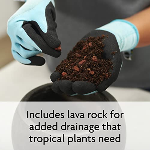 Miracle-Gro Tropical Potting Mix - Growing Media for Tropical Plants Living in Indoor and Outdoor Containers, 6 qt. (4-Pack) - size: 4 Pack, style: Potting Mix