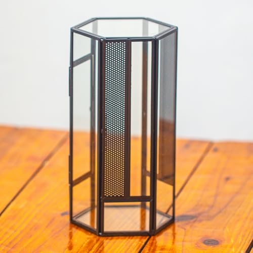 NCYP Glass Enclosure Terrarium with Mesh and Door for Small Spiders - Hexagon Shape, Small Mantis Vented Glass Terrarium 4.1'' x 3.6'' x 7.8'', Tabletop Decor, Black (Plants Not Include) - size: 4.1'' x 3.6'' x 7.8''