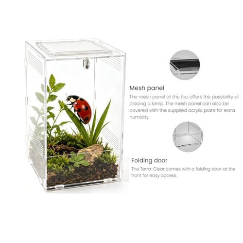 Clear Acrylic Reptile Terrarium with Mesh Top for Lighting, Waterproof and Ventilated Enclosure for Small Insect,Jumping Spider, Tarantula, Easy Access Feeding