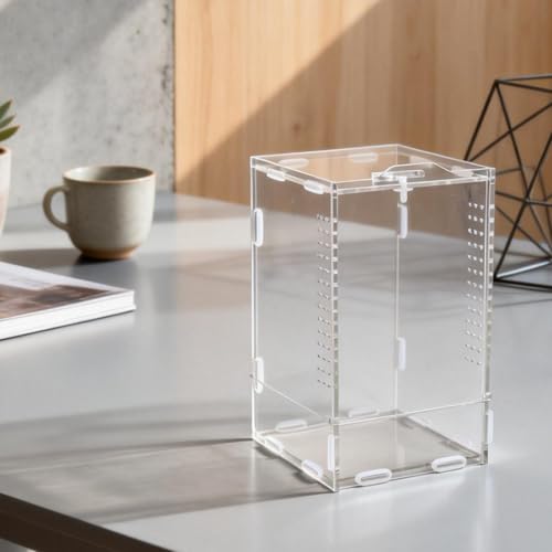 Jumping Spider Enclosure, Acrylic Reptile Terrarium | Tarantula Habitat, Lizard Box, Mantis Bug Cage