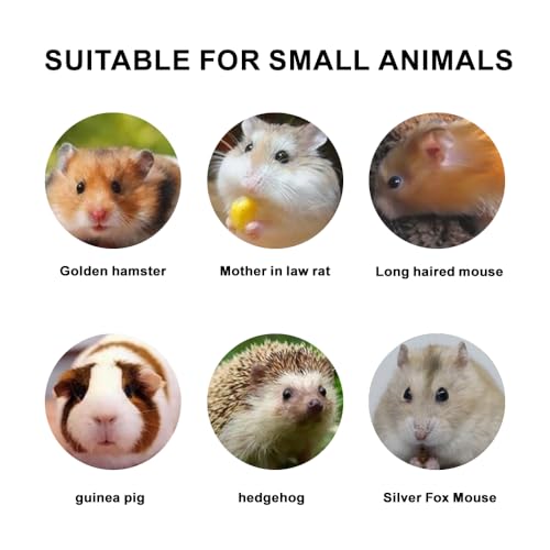 Hamster Bath Sand,SilicaSand,Sand Hamsters Bedding,Dust Free Sand for Hamster Mice and Small Animals (1.1, Pounds)