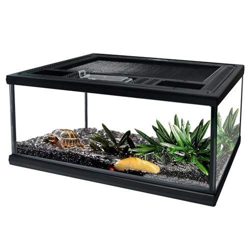 Reptile Glass Terrarium Tank 12"*8"*6",Small Cage Full View with Top Screen Ventilation Habitat Enclosure for Tarantula,Frog,Gecko,Insects,Spiders,Snakes,Hermit Crab,Turtle,Ball Python - size: 12*8*6inch
