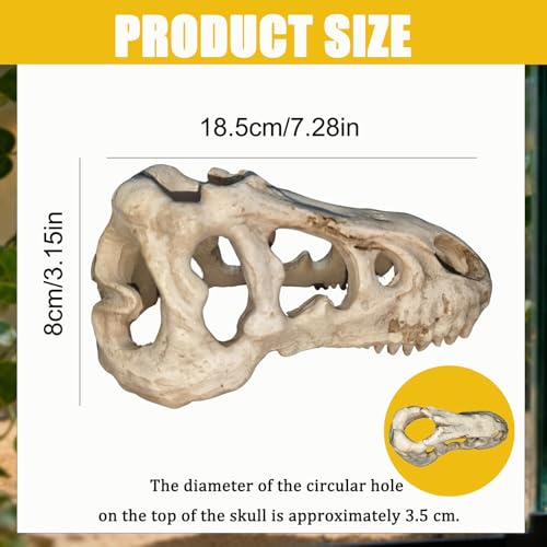 Dinosaur Skull Reptile Basking Platform, Resin Fish Tank & Terrarium Decor for Bearded Dragons, Lizards, Geckos - Aquarium Decor, Tarantula Hide Cave