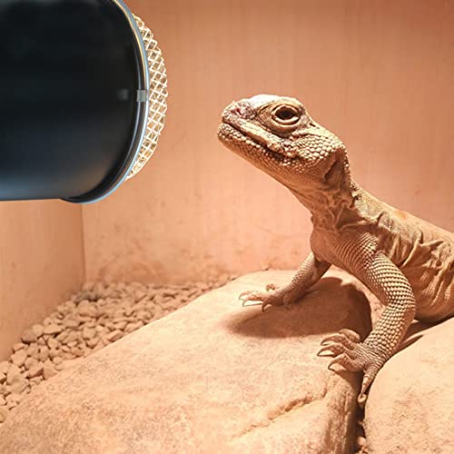 Reptile Heat Lamp Cover Reptile - Scald Lampshade Box Insulation Lamp Shade