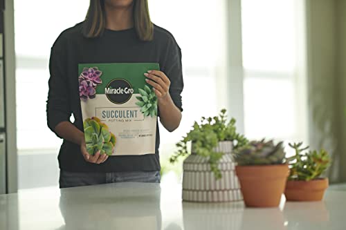 Miracle-Gro Succulent Potting Mix, 4 qt. (2-Pack) | Potting Soil Mix for Indoor Succulents, Aloe Vera and More, Made with Miracle-Gro Plant Food - size: 2 Pack, style: Succulent