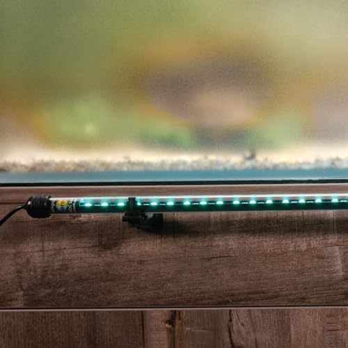 ColorCast Aquarium Background LED Light Kit with Frosted Background Film | Smartphone and Voice Control | 24/7 Timers | Alexa and Google Home | for Aquariums, Terrariums and Vivariums | 32"-48" - size: 32" | 32" to 48"
