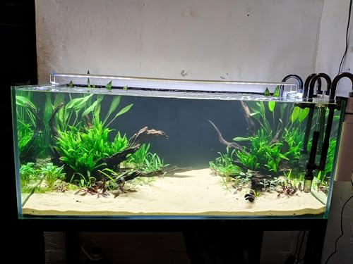 Azil Natural Driftwood 10'' - 15'' Perfect Aquarium Decoration! Ideal for Fish Tanks, Freshwater Aquariums, terrariums, aquascaping, hardscaping,Aquatic Plants. - size: Driftwood 10'' - 12''