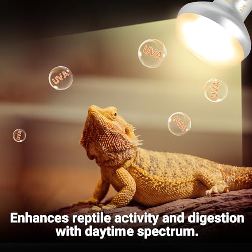 Reptile Heat Lamp Blub Combo Pack, Dual Reptile Lamp Fixture with Intense Basking Spot Light UVA Daylight Reptile Heat Lamp & 26W Energy Saving UVA 10.0 UVB Bulb Spiral Compact Bulb