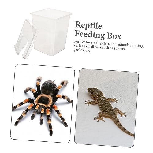 Clear Reptile Feeding Box Transparent Incubator for Snakes Tarantulas Geckos and Rearing Container with Ventilation for Safe Observation