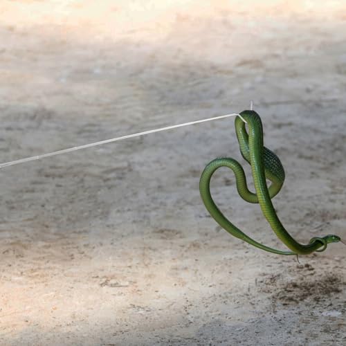 OUNONA Retractable Stainless Steel Snake Hook Portable Snake Grabber Tool White Reptile Handling Accessory for Terrarium and Care