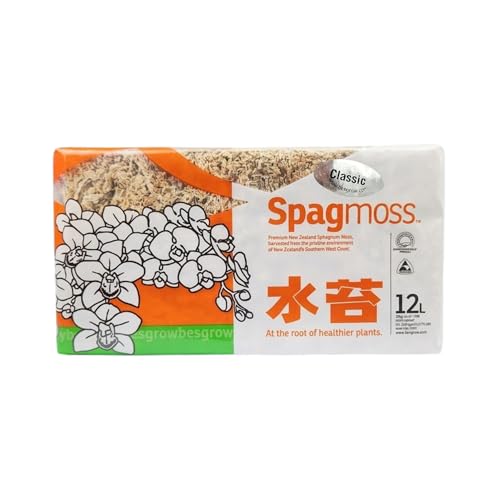 besgrow Premium New Zealand Sphagnum Moss, 150g (12L When Hydrated) Classic AA Grade (100mm, 4" Strands) - Harvested in New Zealand's South Island, Dried and Long for Potted Plants, Orchids, Reptiles - style: AA Classic (4" Strands)