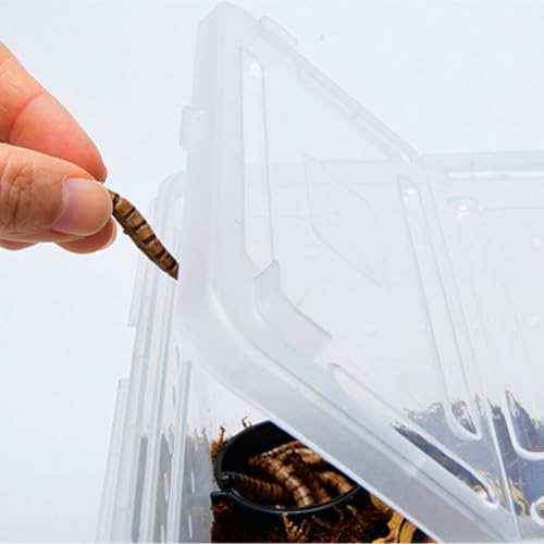 Reptile Breeding Box Reptile Feeding Box Breeding Hatching Container Pet Houses Faunarium(Black) - color: Black
