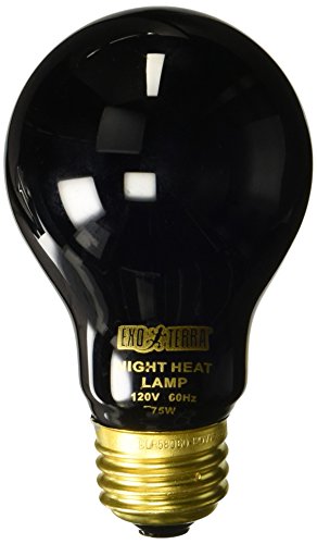 Exo Terra Night Glo Moonlight Heat Lamp, A19 Reptile Terrarium Light Bulb, 75 Watts, PT2130A1