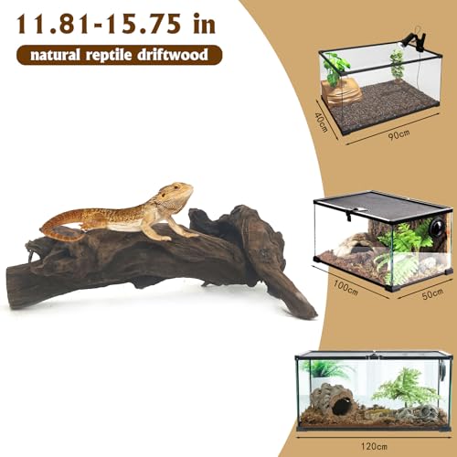 Hamiledyi 5 Pcs Reptile Plants Terrarium Hanging Fake Plant Leaves and Large Driftwood for Reptile Tank 11-16" Natural Bearded Dragon Wood for Ball Python Gecko Lizard Chameleon Iguana