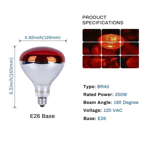 250 Watt Heat Lamp Bulbs for Chicks, R40 Brooder Heat Lamp for Chickens, Infrared Reflector Heat Bulbs for Brooder Heater, Incandescent Spotlight for Pet, Bathroom, Food (2 Pack)