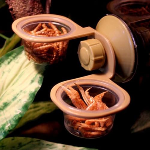 DOITOOL 2pcs Reptile Feeding Bowls with Suction Cups, Food Basin and Water Dish for Lizards and Amphibians, Pet Feeder Accessories for Terrarium Use