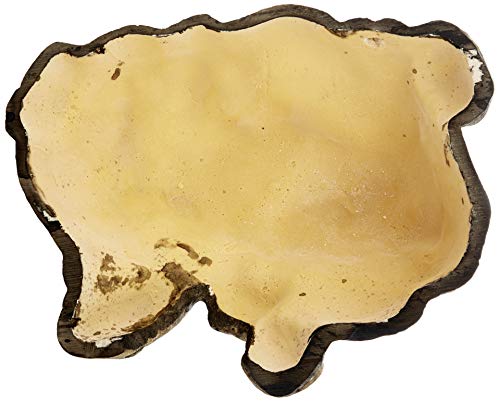 Exo Terra Reptile Cave - Large - color: Multi, size: Large