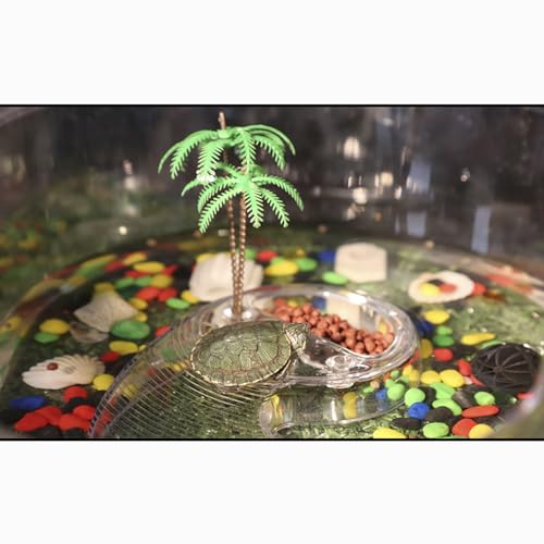 OMEM Portable Reptile House Terrarium Habitat Clear and Breathable (Small) - size: Small