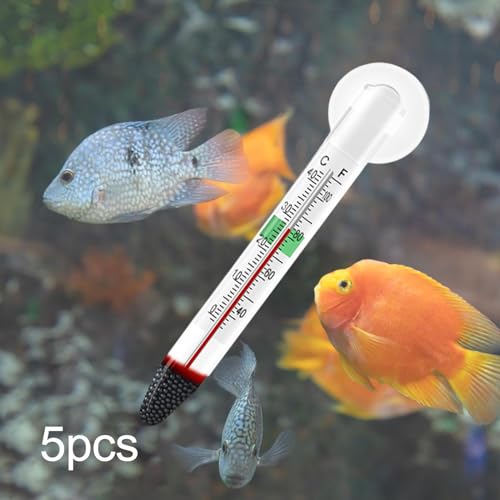 5Pcs Thermometer with Suction Cup Glass Tube Double Layered Glass High