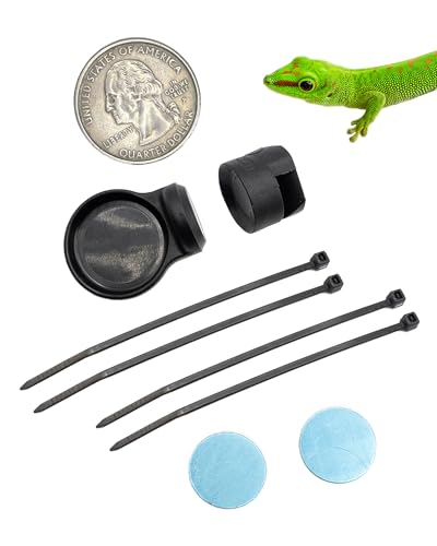 Pangea Microdish Kit for Gecko Feeding, Tiny Water Dish for Micro Geckos, Anoles, and Other Small Reptiles, Zip Tie Attachment Pet Food Bowl 1.5in x .75 in (S Branch Mount) - size: S Branch Mount
