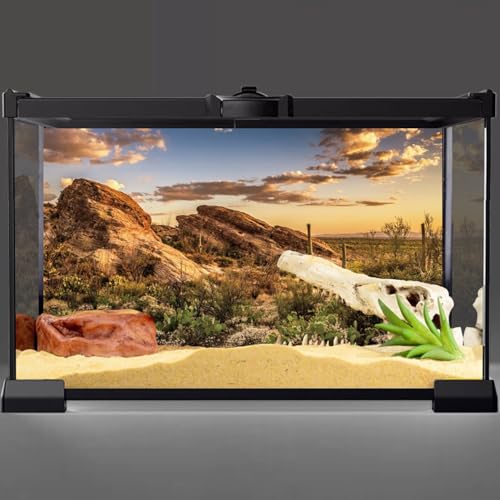 AWERT Reptile Habitat Background Blue Sky Oasis Cactus Sun and Desert Terrarium Background 30x12 inches Polyester Background - size: 30x12 inches