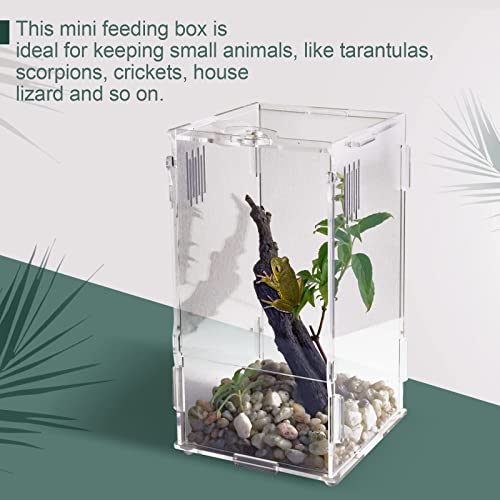 BETAZOOER Acrylic Mini Reptile Tank Habitat Transparent Terrariums with Locking Latch Suitable for Tarantula Isopod Roach Invertebrates (4''x4''x8'') - size: Small