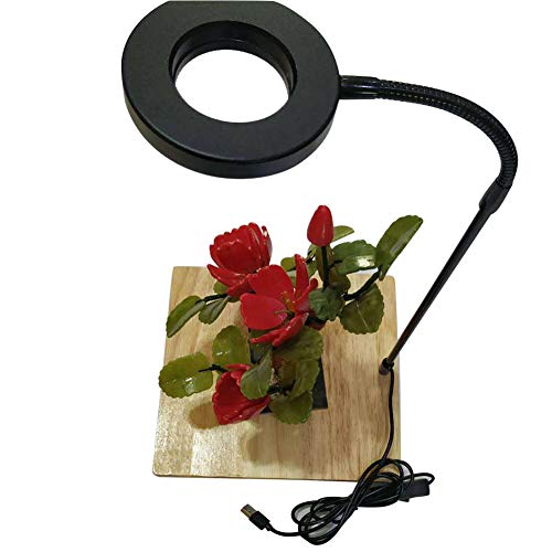 LED Aquarium Light for Under 1.5 Gallon Fish Tank，360 Degree Full Spectrum LED Light with Bamboo Board 10W Nano Fish Tank Light USB Powered Bett a Fish Tank Light for Plant Growth - size: 10w s / 6.69x7.28inch